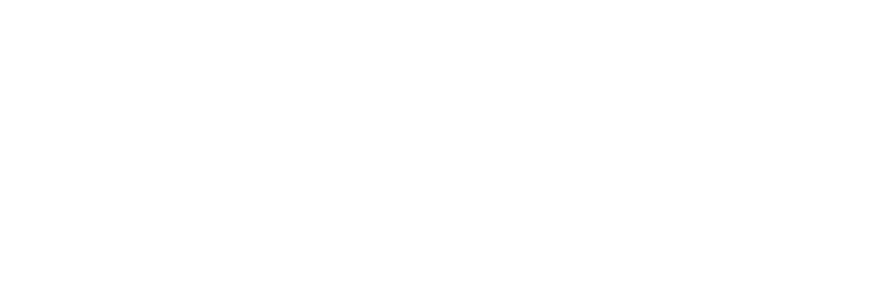 Flagship Hospital